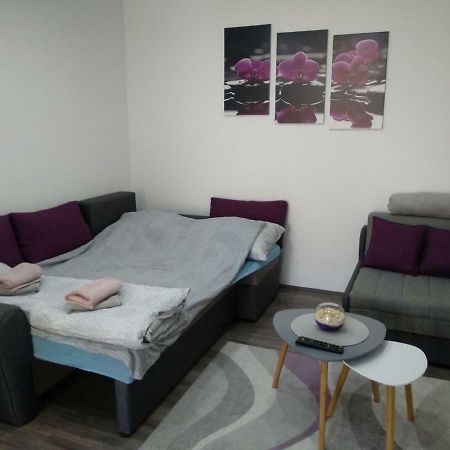 Rooms Jelena Zrenjanin Buitenkant foto
